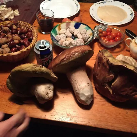 La Casa Del Abuelo 乡村民宿