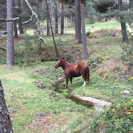 La Casa Del Abuelo * 霍约斯德尔埃斯皮诺