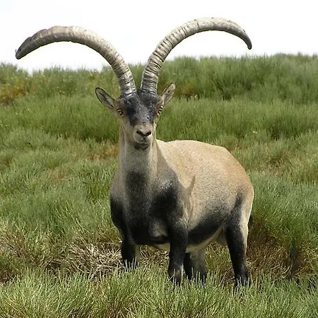 La Casa Del Abuelo 乡村民宿