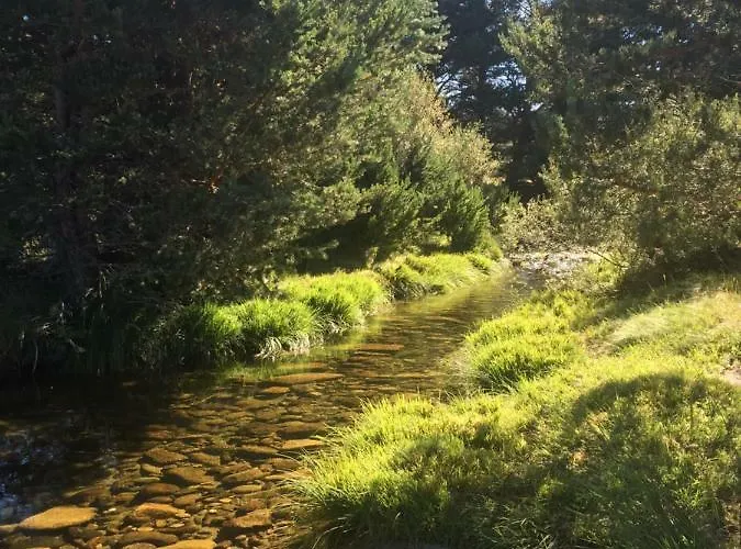 La Casa Del Abuelo *