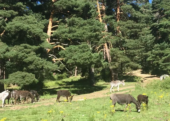 La Casa Del Abuelo * 요요스델에스피뇨