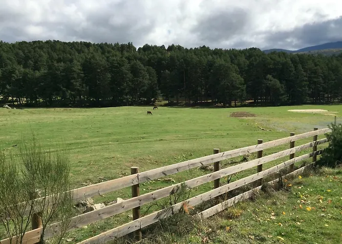 La Casa Del Abuelo * 요요스델에스피뇨