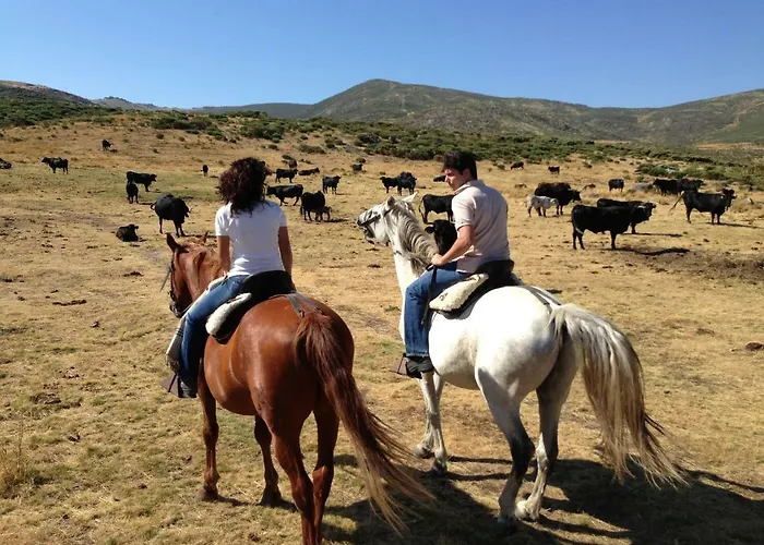 컨트리하우스 La Casa Del Abuelo 요요스델에스피뇨