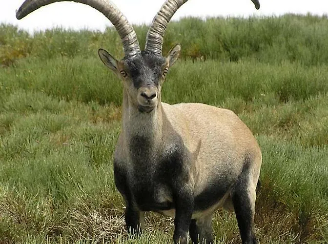 La Casa Del Abuelo 컨트리하우스